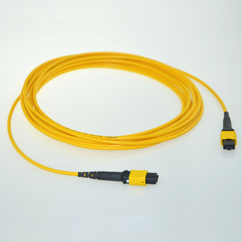 MPO Patch Cord