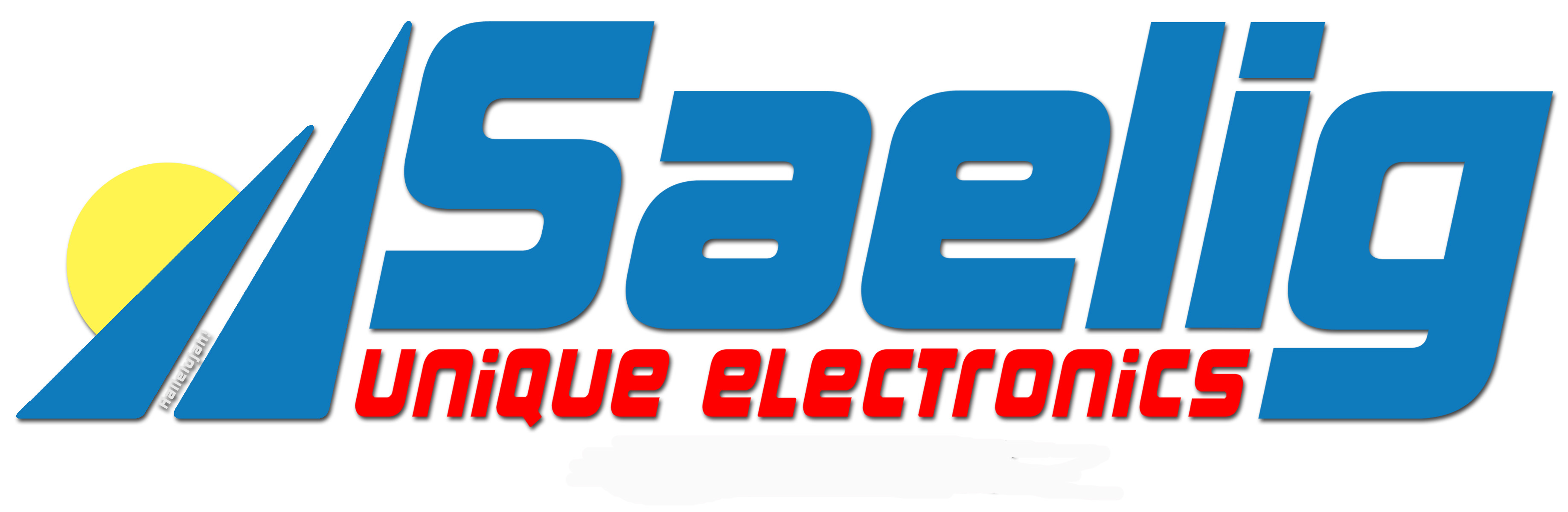 Saelig Company Inc