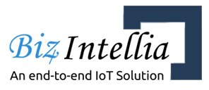 Biz4Intellia Inc.